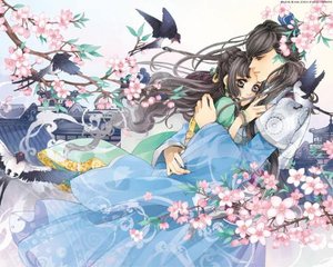 2023含羞草实验室隐藏路径